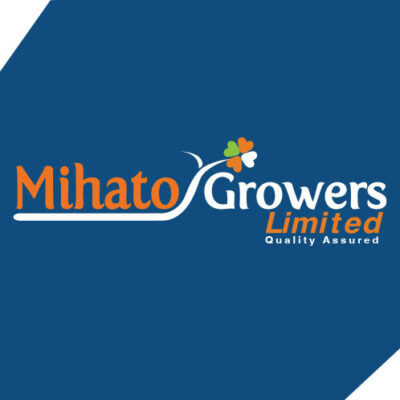 logo designer Nairobi