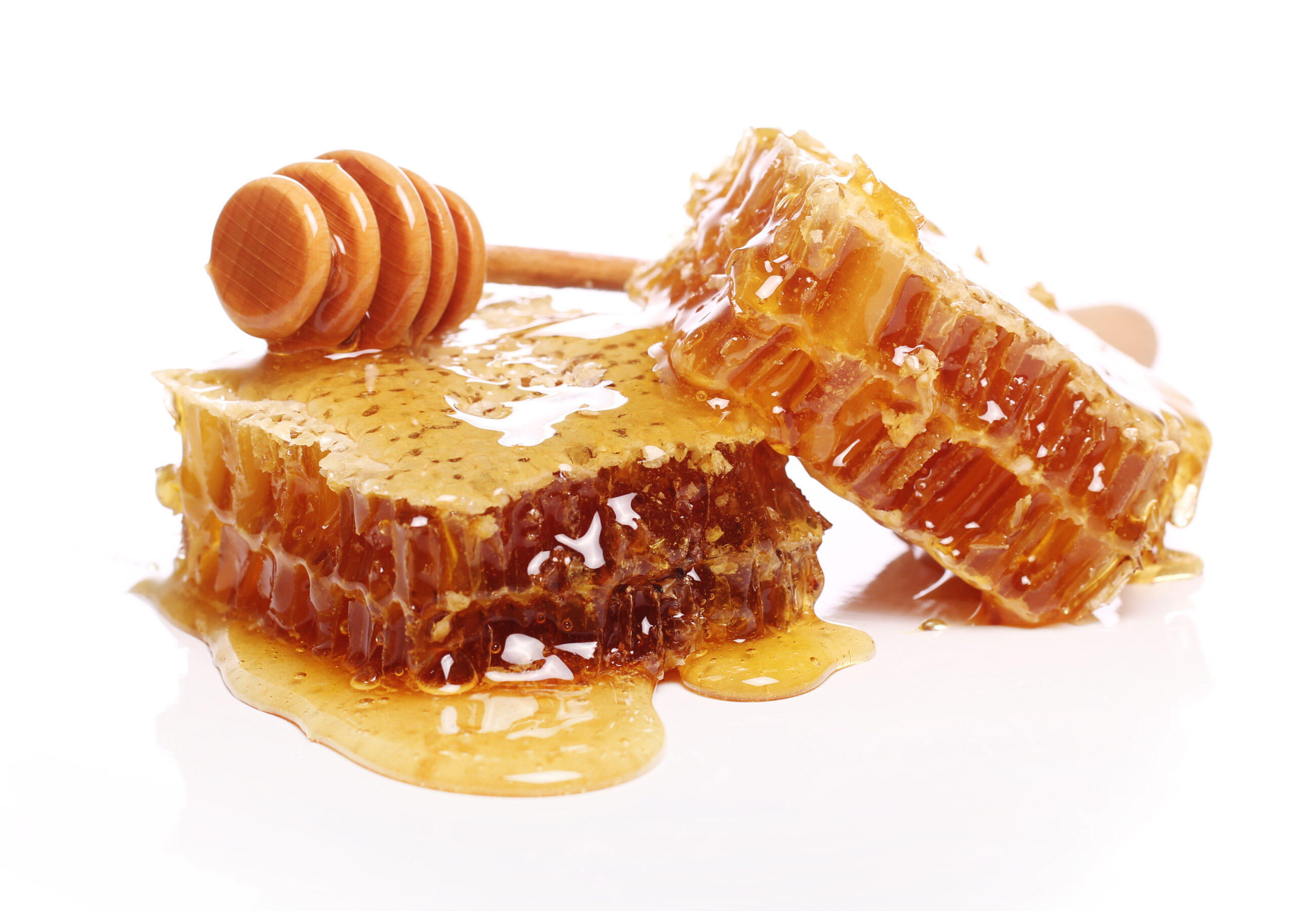 honey labels