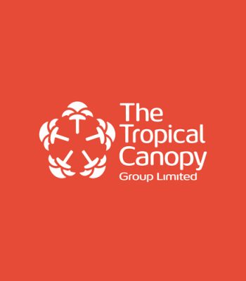 Group of Companies Logo Design Kenya, Corporate Logo Designers Nairobi, Holding Company Logo Design Kenya, Business Logo Design, Modern Corporate Group Logo Design.