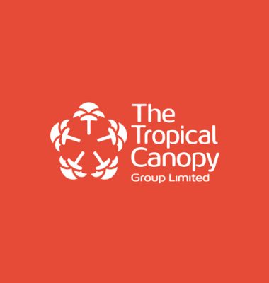 Group of Companies Logo Design Kenya, Corporate Logo Designers Nairobi, Holding Company Logo Design Kenya, Business Logo Design, Modern Corporate Group Logo Design.