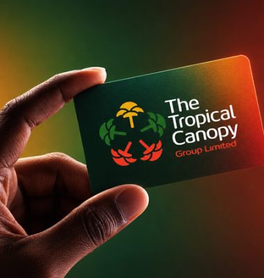 Group of Companies Logo Design Kenya, Corporate Logo Designers Nairobi, Holding Company Logo Design Kenya, Business Logo Design, Modern Corporate Group Logo Design.